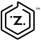 ZiiDMS Enterprises Dealer Management System Menu Logo